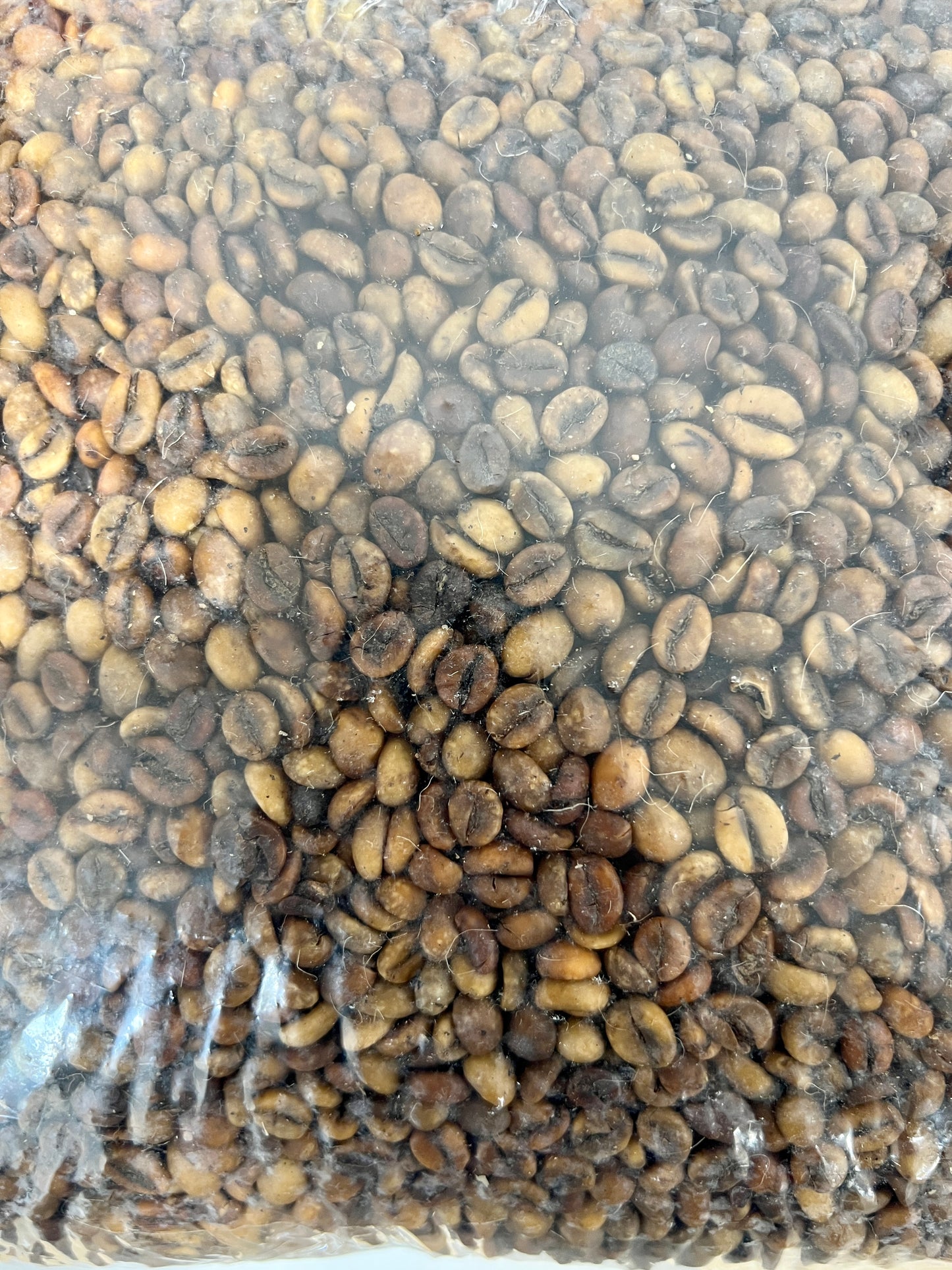 Decaf Robusta Green Coffee - 1lb